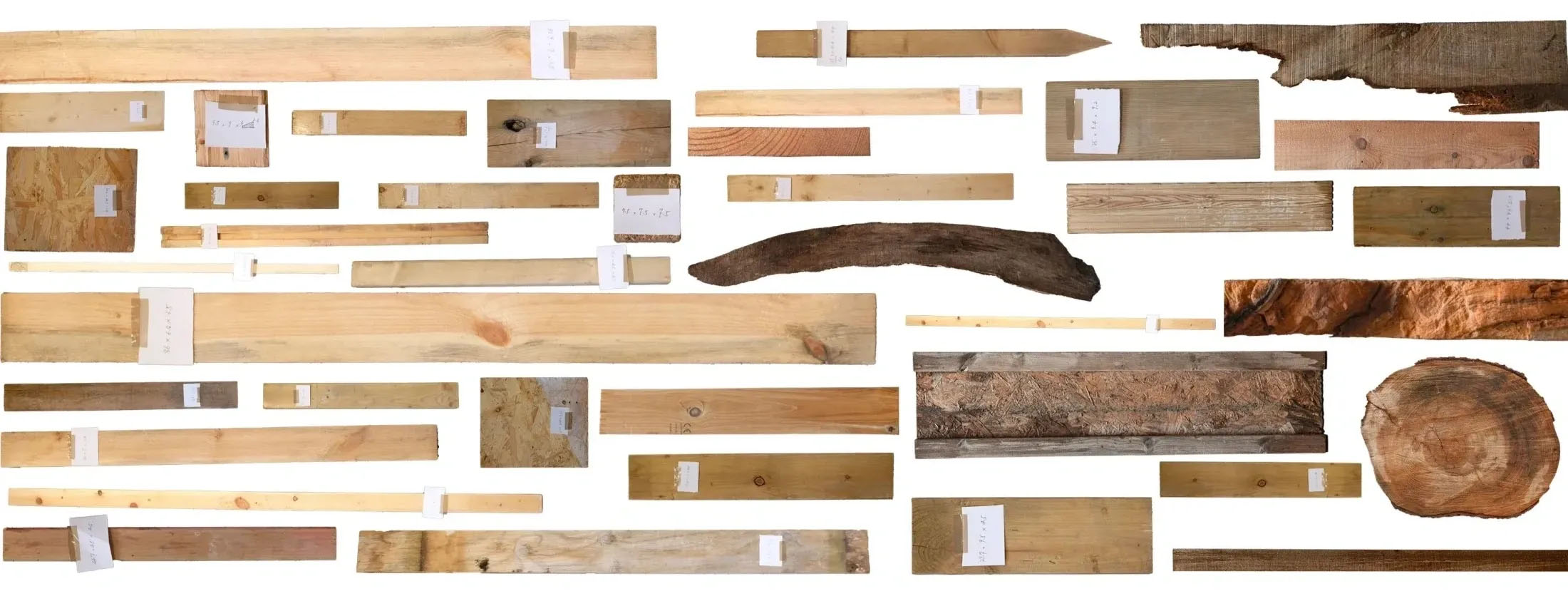 The author's collection of labelled off-cut timber pieces arranged on a white background.